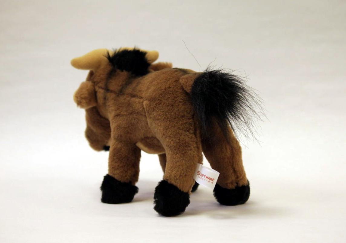 back of baby GNU