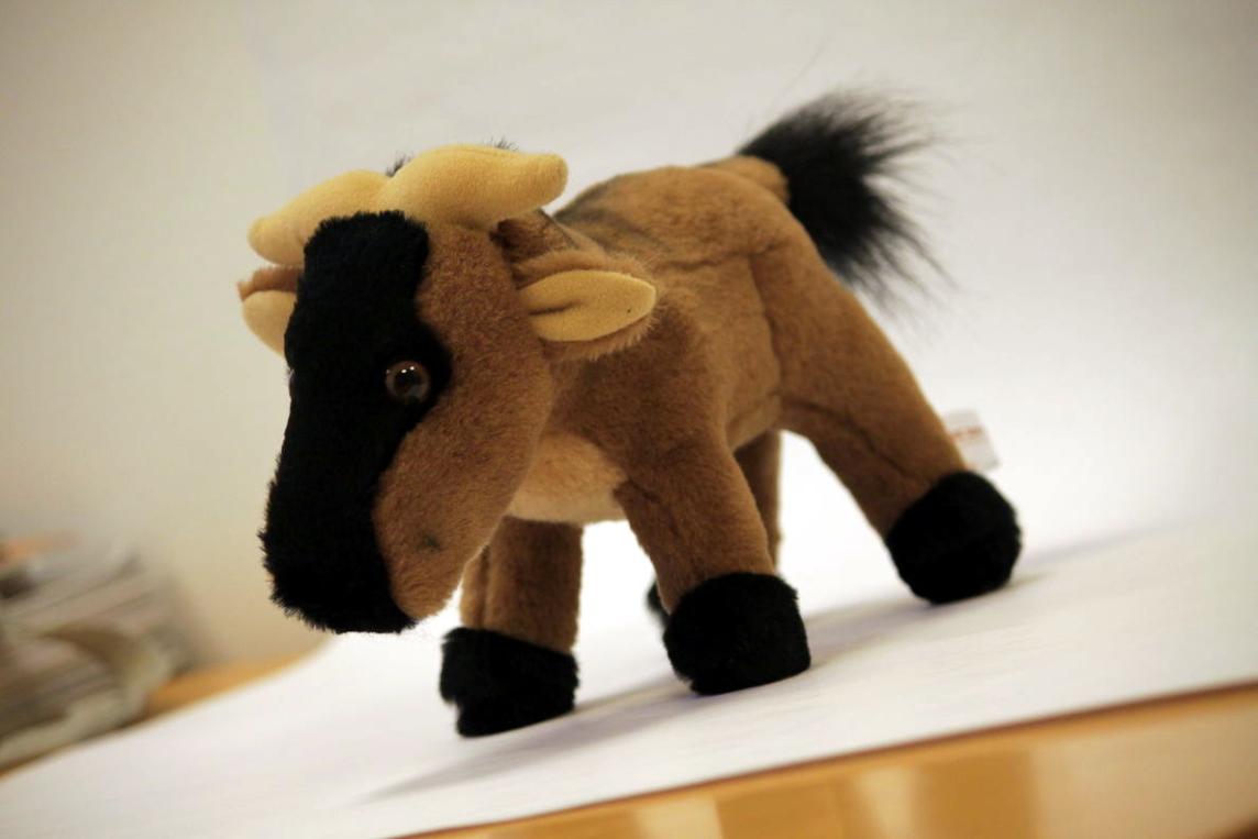 front of baby GNU