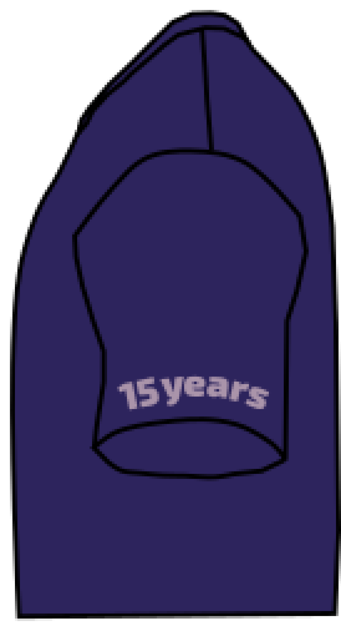 The side view of the shirt, which says "15 years"